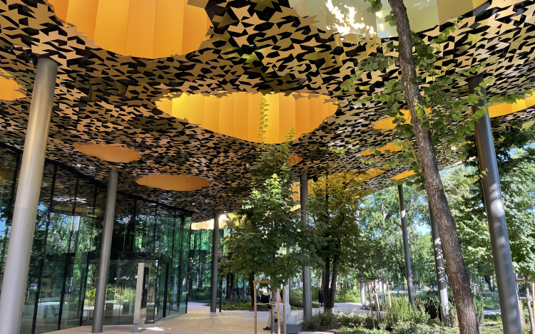 Fudzsimoto Szu: A Zene Háza az egyik legfontosabb projektem