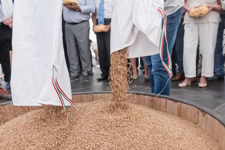 Agrárminiszter: a magyarok kenyere 2024-ben is biztosított